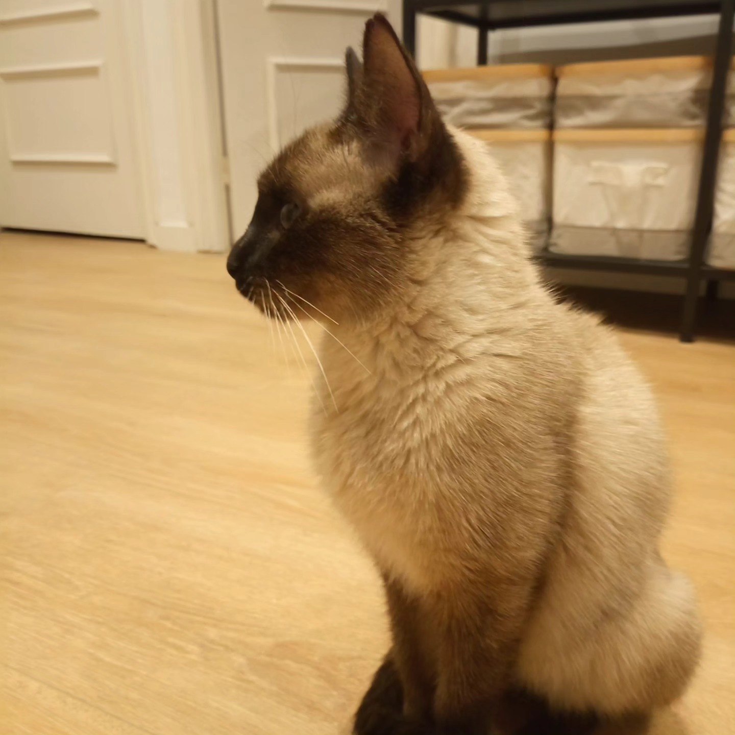 Ebba