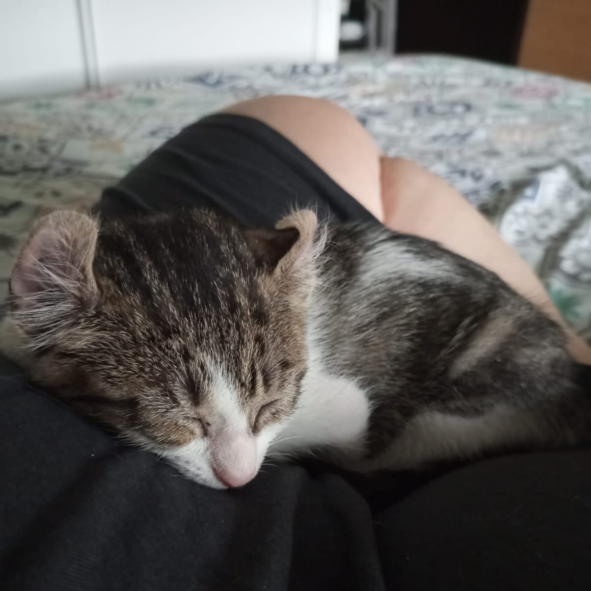 Freya