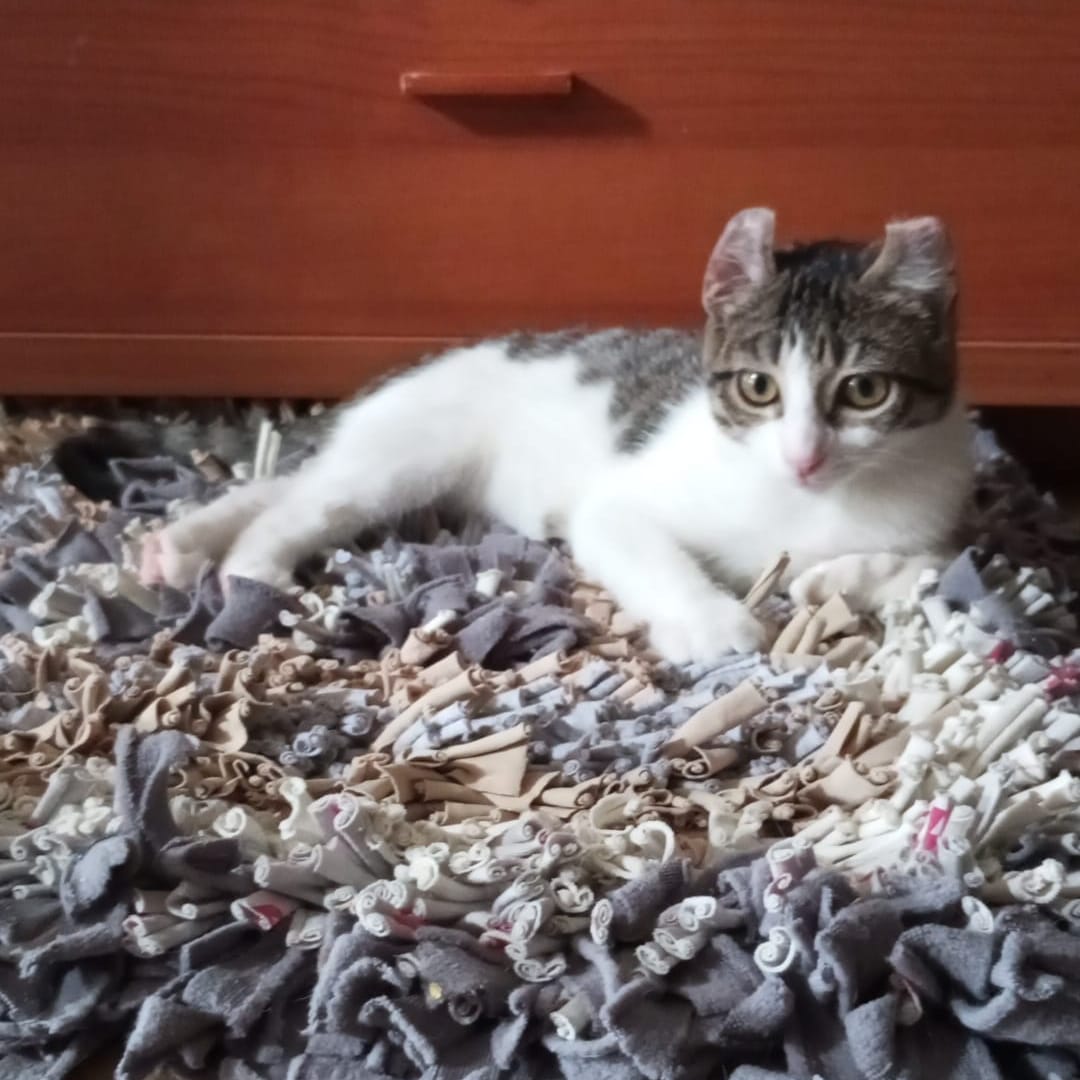 Freya