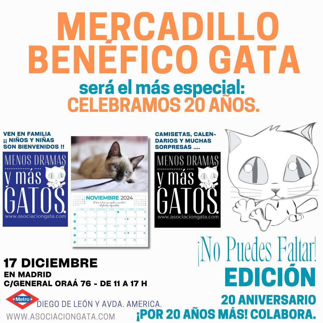 MERCADILLO SOLIDARIO 20º Aniversario GATA