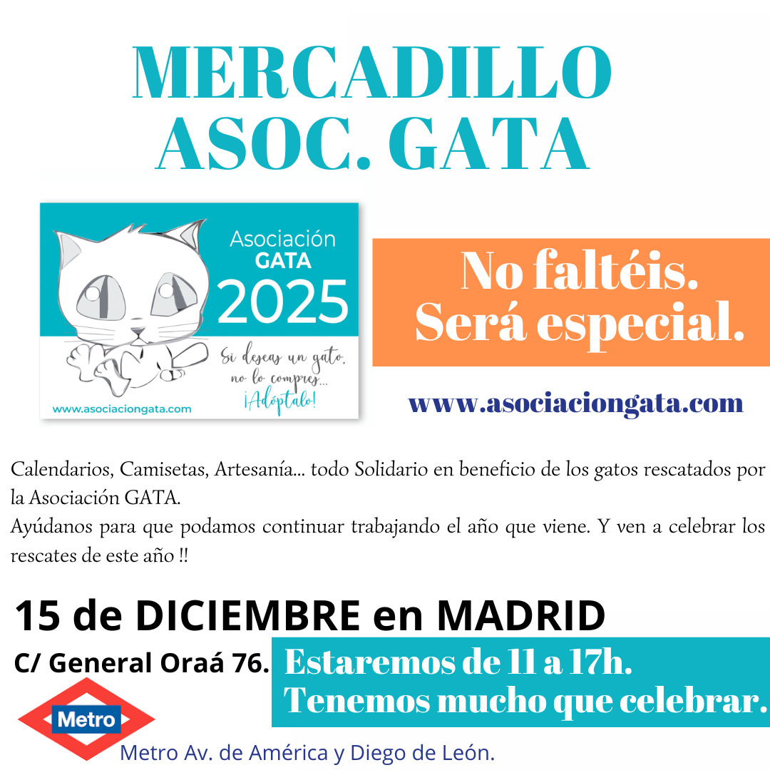 MERCADILLO SOLIDARIO 2024 Asociación GATA 