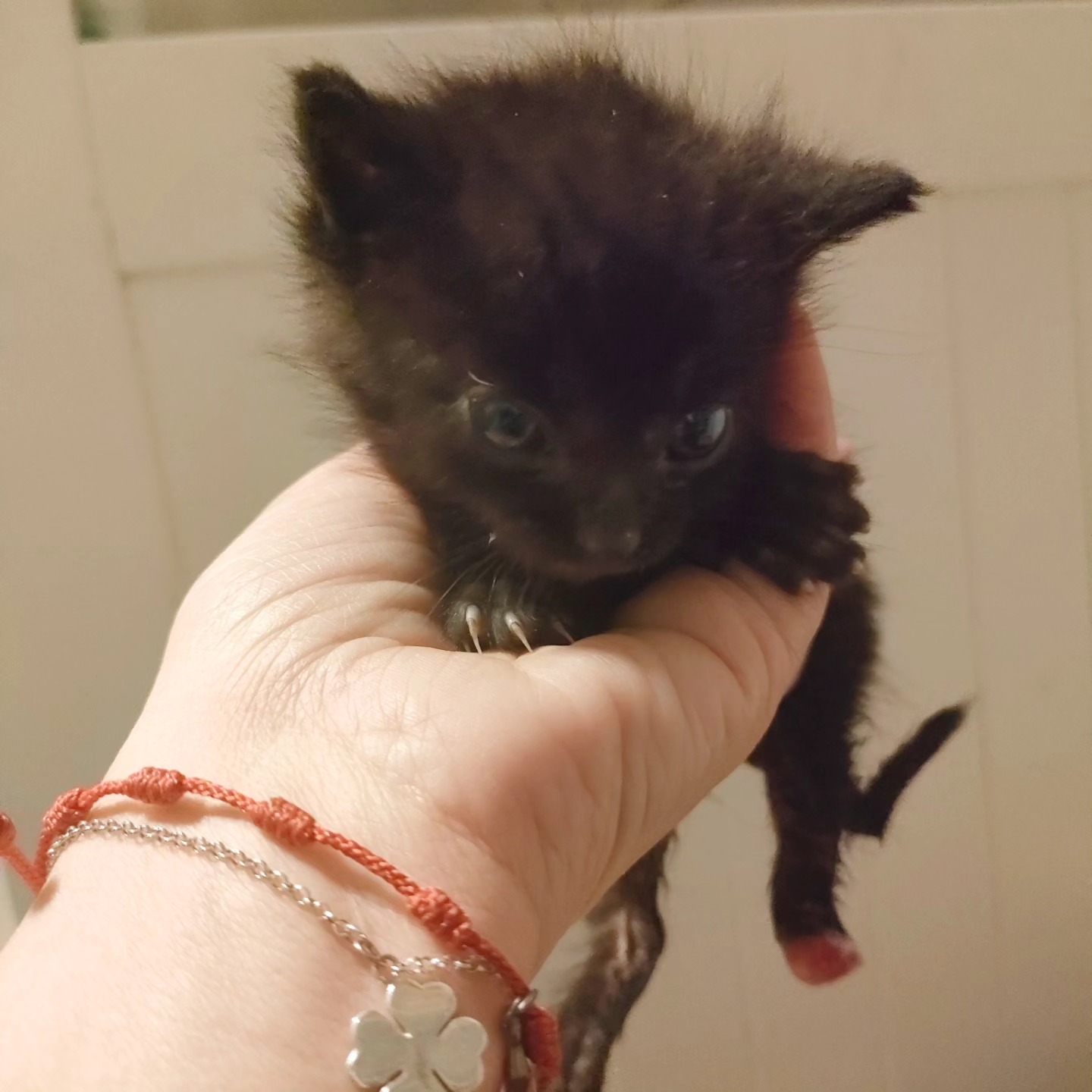 Miko
